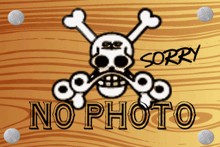 ���ʼ���̵����DVD ΢DVD������ ������ɥ������㡼